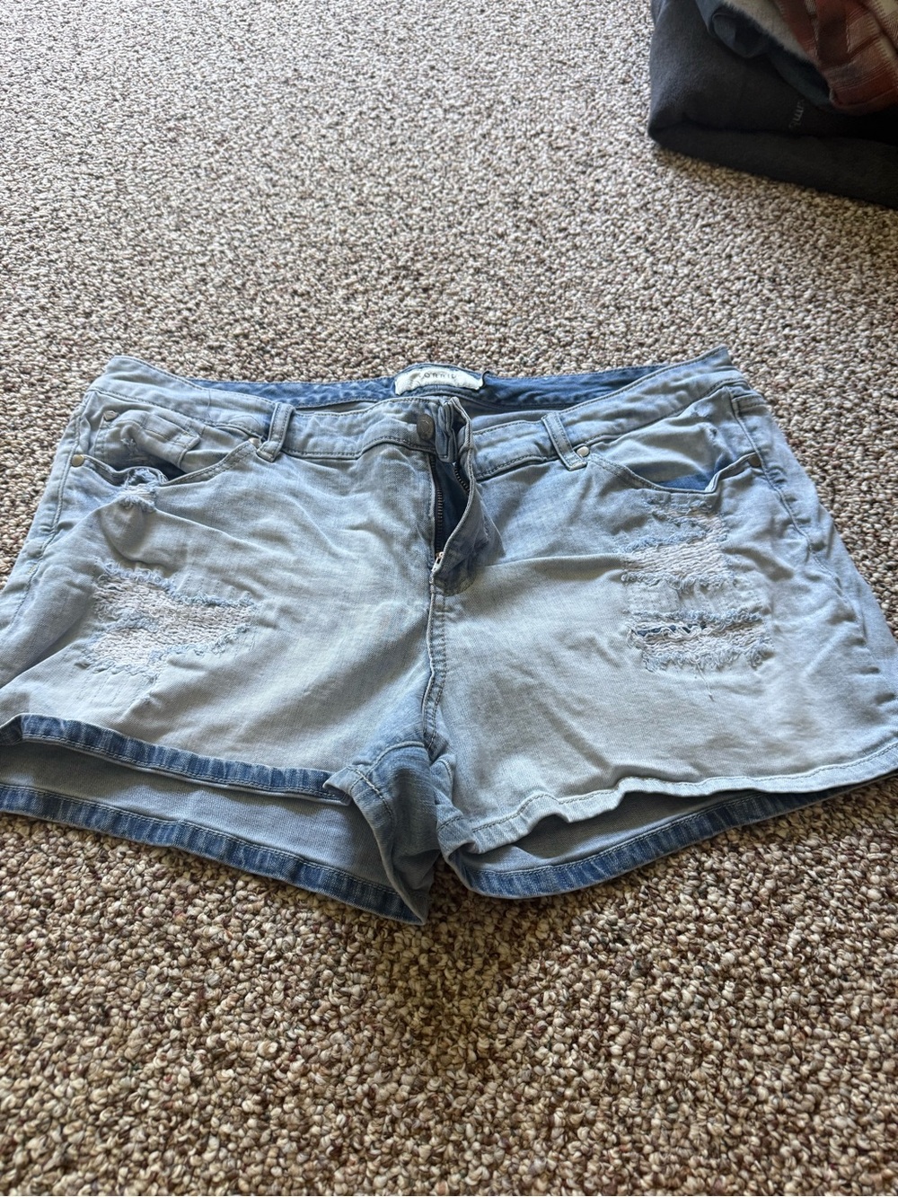 torrid Light Blue Distressed Denim Shorts